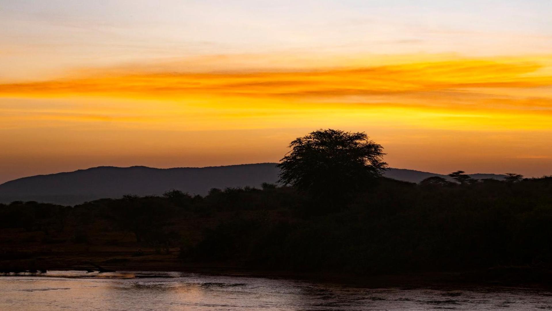 Samburu Elephant Lodge Isiolo Eksteriør billede